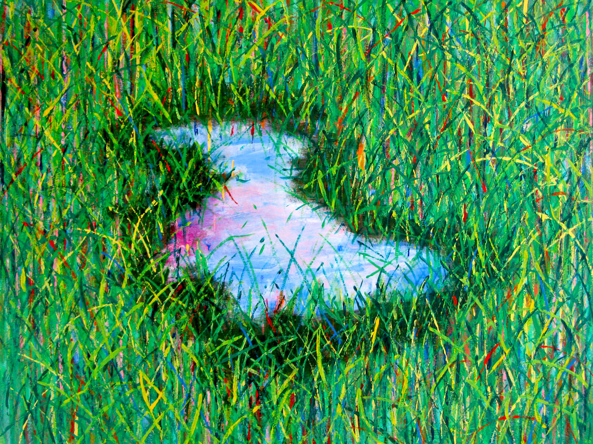 puddle in grass